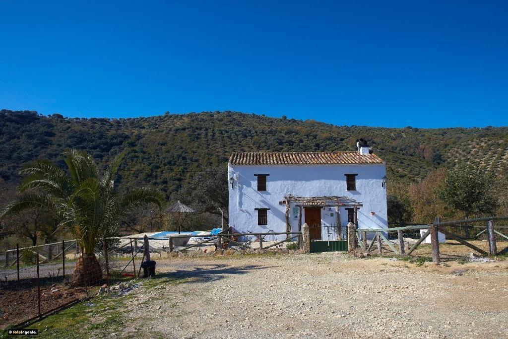 Hotel Enrique Calvillo El Bosque Room photo