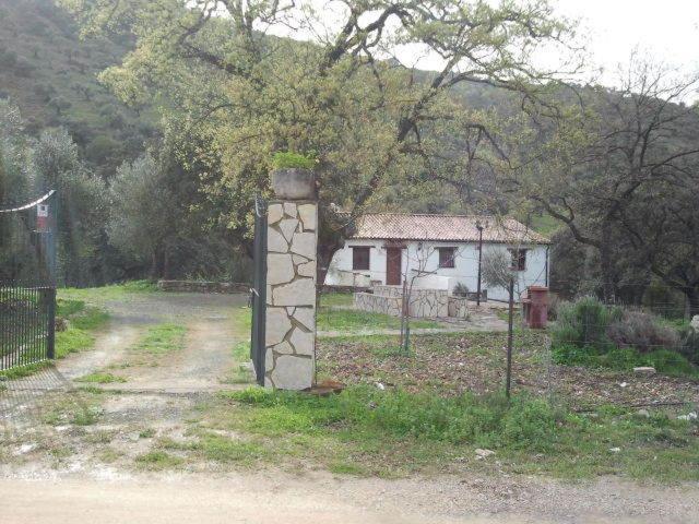 Hotel Enrique Calvillo El Bosque Room photo